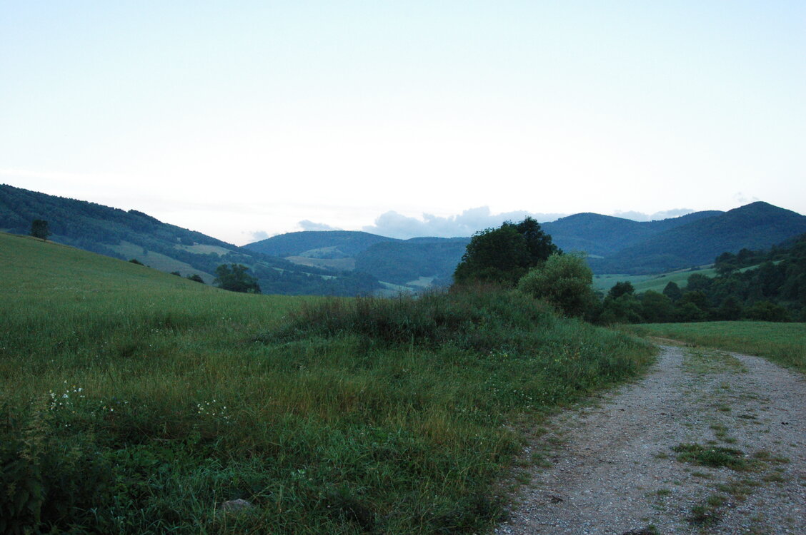 an1_005765.jpg