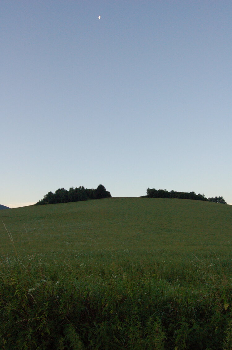 an1_005766.jpg