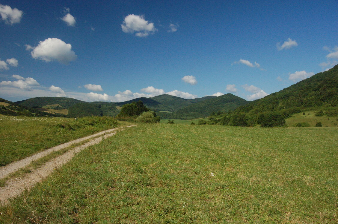 an1_005784.jpg
