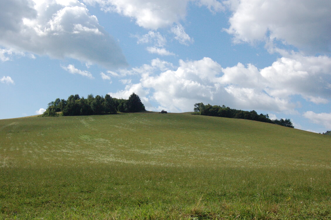 an1_005788.jpg