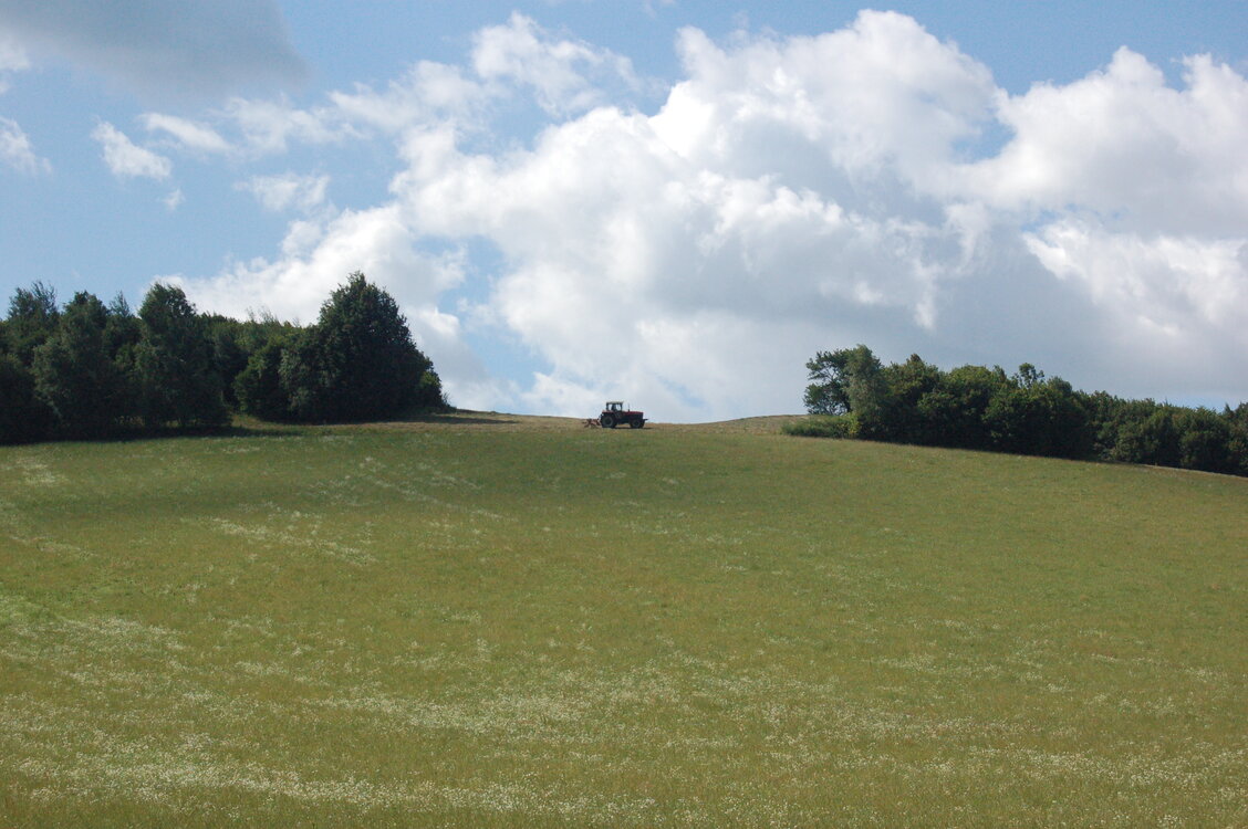 an1_005790.jpg