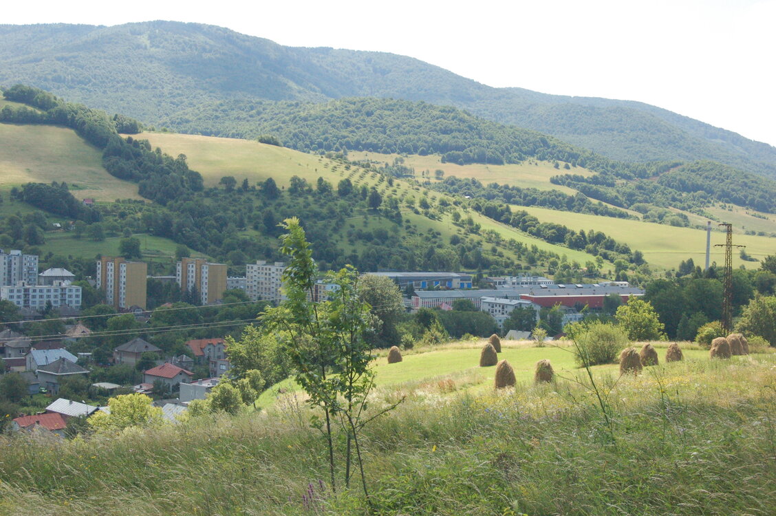 an1_005804.jpg