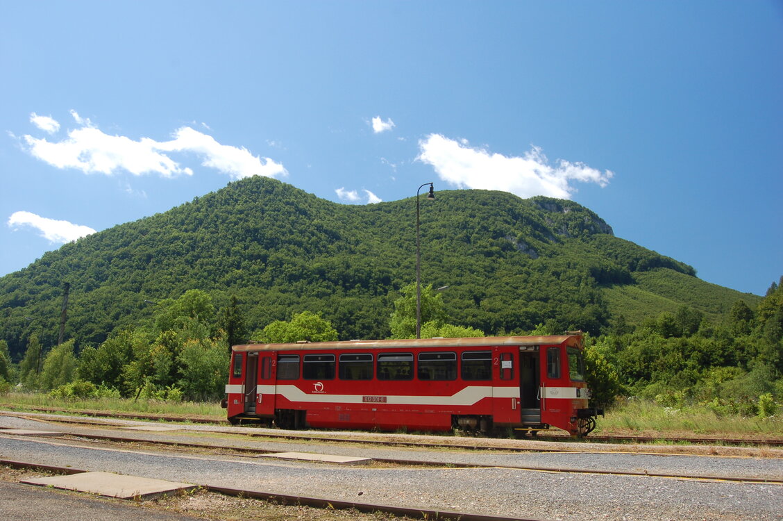 an1_005811.jpg