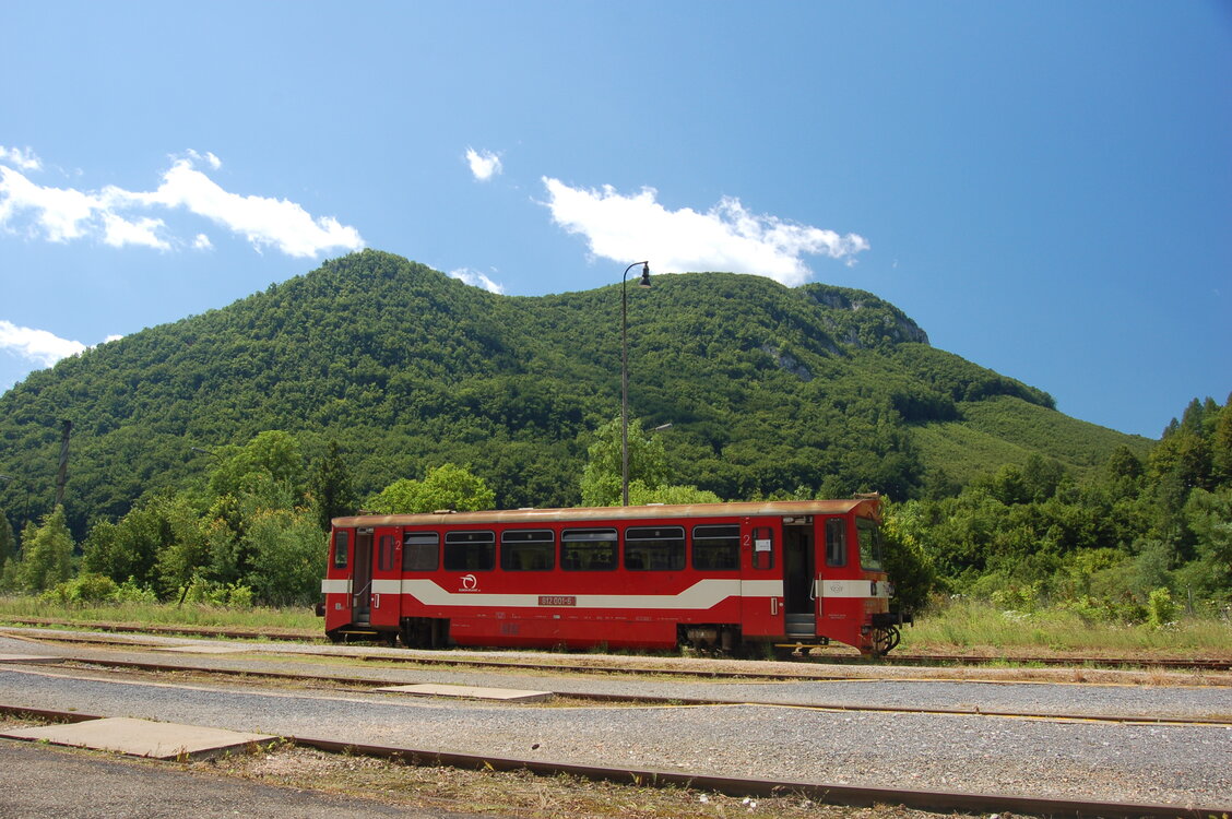 an1_005813.jpg