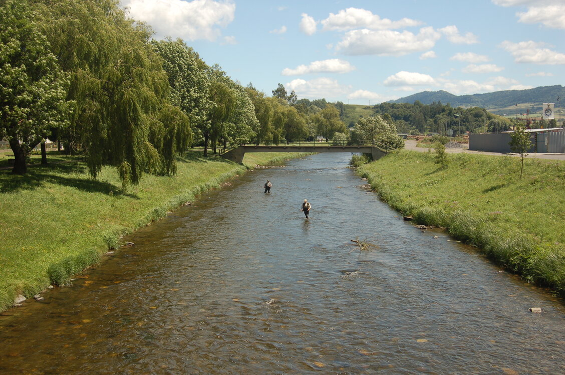 an1_005831.jpg