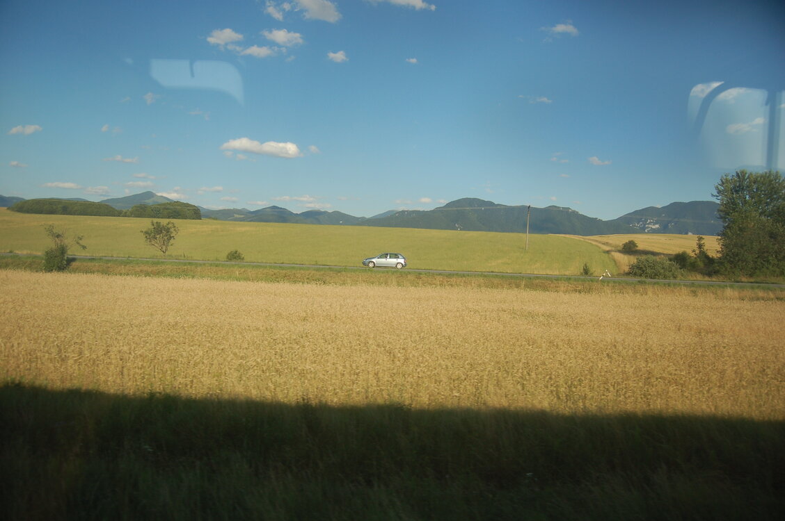an1_005850.jpg
