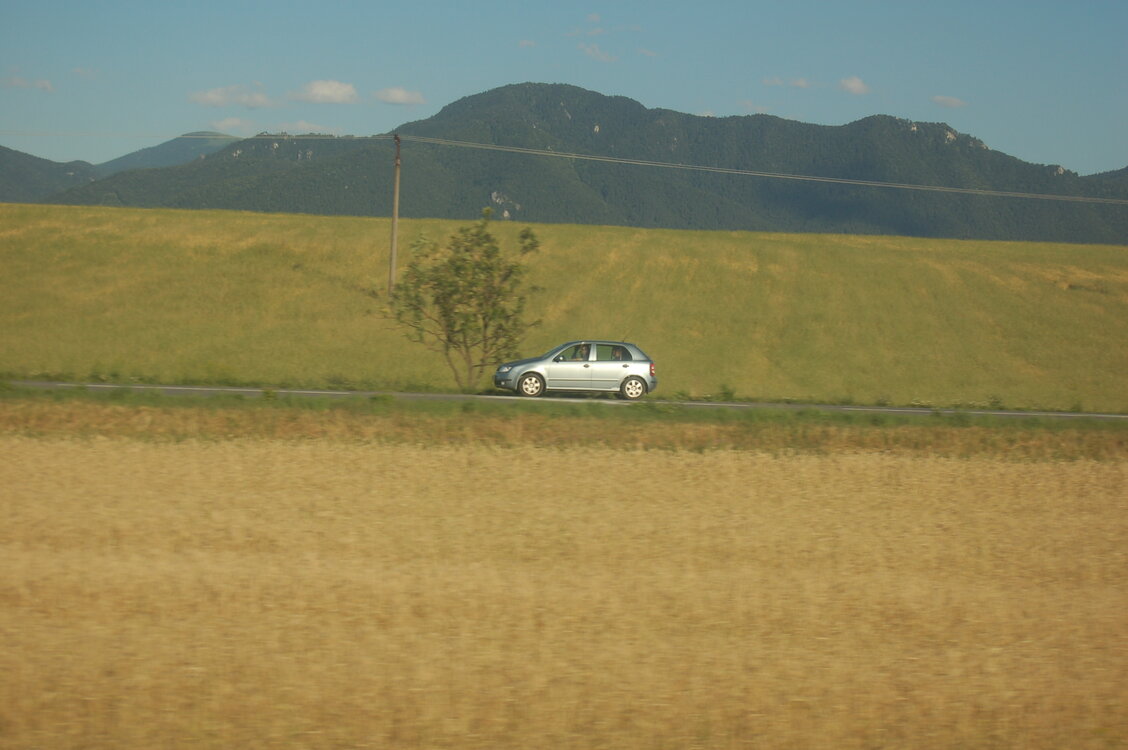 an1_005851.jpg