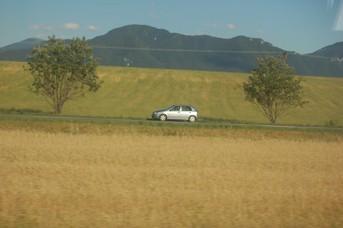 an1_005852.jpg