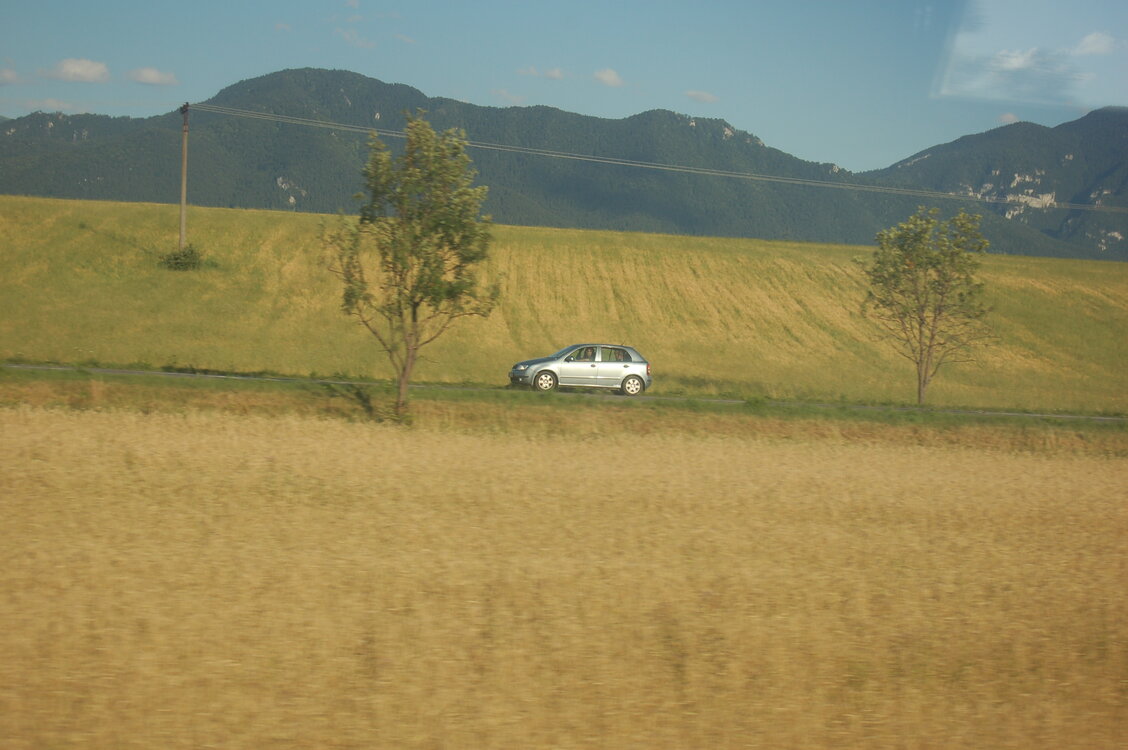 an1_005853.jpg