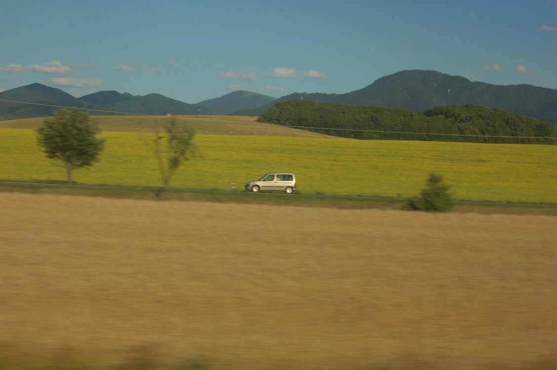 an1_005855.jpg