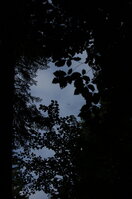 an1_005354.jpg