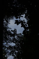 an1_005355.jpg