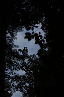an1_005356.jpg