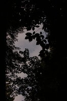 an1_005359.jpg