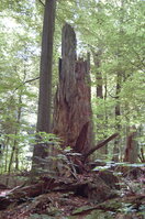 an1_005367.jpg