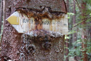 an1_005376.jpg