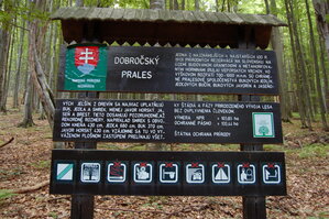 an1_005380.jpg