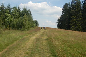 an1_005415.jpg