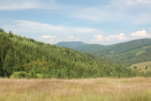 an1_005419.jpg