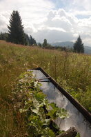 an1_005429.jpg