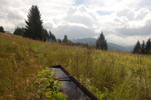 an1_005430.jpg