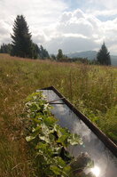 an1_005431.jpg
