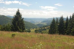 an1_005436.jpg
