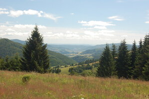 an1_005437.jpg