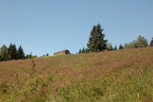 an1_005439.jpg