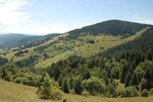 an1_005443.jpg
