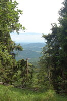 an1_005449.jpg