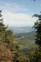 an1_005453.jpg