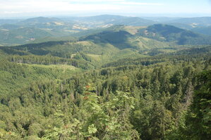 an1_005455.jpg