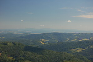 an1_005461.jpg