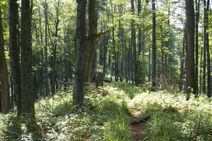 an1_005463.jpg