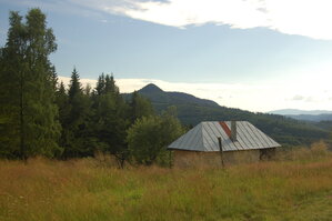an1_005473.jpg