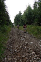 an1_005475.jpg