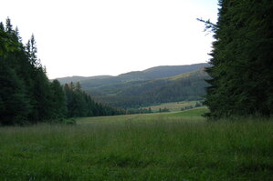 an1_005480.jpg