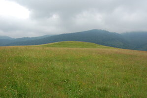 an1_005486.jpg