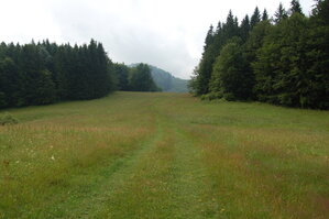 an1_005487.jpg
