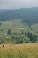 an1_005491.jpg
