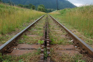 an1_005493.jpg