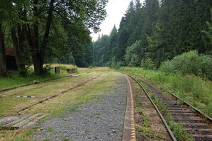 an1_005495.jpg