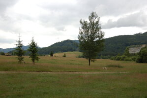 an1_005500.jpg