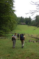 an1_005501.jpg