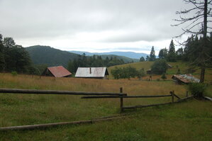 an1_005503.jpg