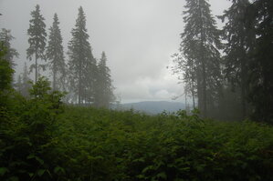an1_005505.jpg
