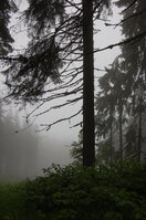 an1_005508.jpg
