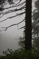 an1_005509.jpg