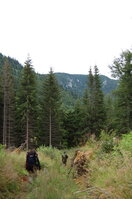 an1_005518.jpg